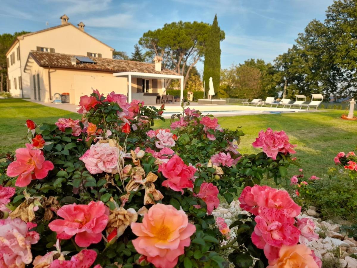 Relais Villa Sofia Calcinelli Экстерьер фото