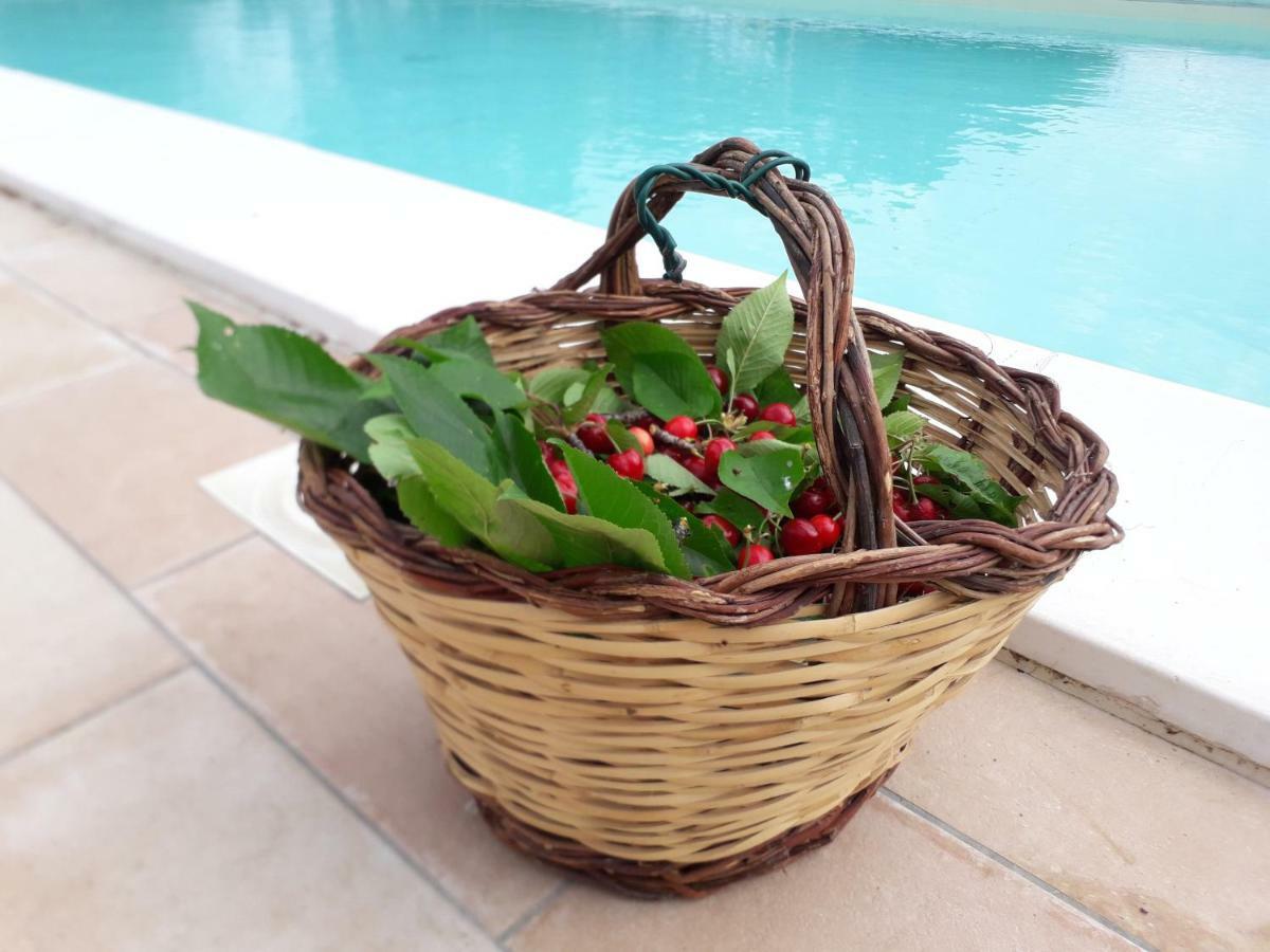 Relais Villa Sofia Calcinelli Экстерьер фото